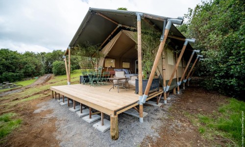 Glamping